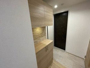 ｓｈｉｎ 0301号-15