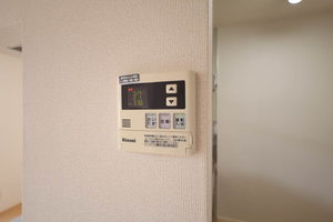 Ｍａｓｔ　Ｔｏｗｎ若草通 D205号-15