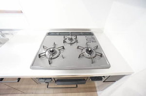 Ｇｕｒｉｓｈｉｎａ（グリシナ） 0202号-5