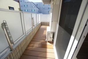 Ｇｕｒｉｓｈｉｎａ（グリシナ） 0202号-15