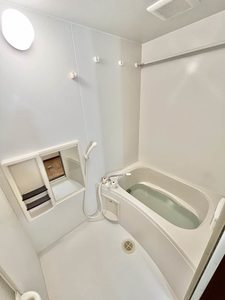 アラベスク 0101号-11