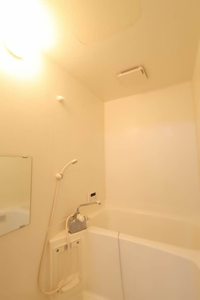 Limpia Parterre 0303号-9