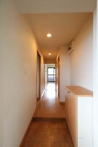 Limpia Parterre 0303号-12