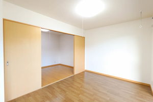 Limpia Parterre 0303号-15