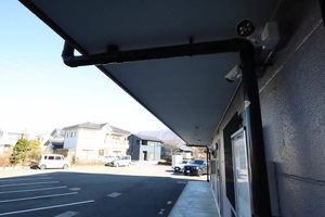 Ｌｉｍｐｉａ　Ｐａｒｔｅｒｒｅ 0305号-5