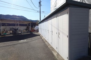 Ｌｉｍｐｉａ　Ｐａｒｔｅｒｒｅ 0305号-7