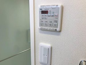 ブリューテ並柳 0101号-13
