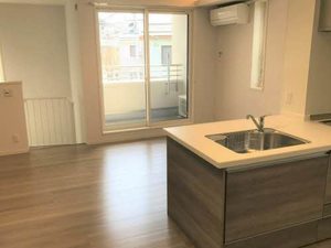 ブリューテ並柳 0103号-3