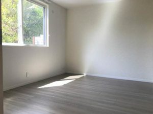 ブリューテ並柳 0103号-11