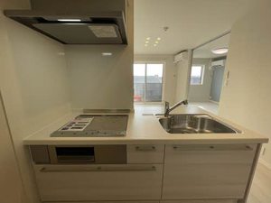 ロイヤルスクエアGⅢ 0203号-4