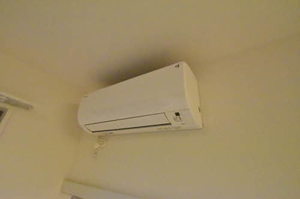 オーサム ガーデン(Awesome garden) 0306号-12