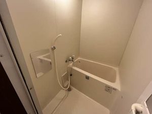 シェロファーム B101号-8