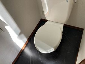 Ｈｏｍｅ　Ｌｉｋｅ　野いちご I103号-12