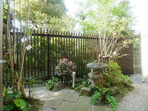 Ｂｌｏｏｍｉｎｇ覚王山 0203号-3