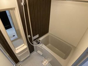 ぴゅあめぞん柿木坂 A102号-12