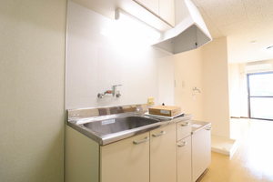 ジョイフル江島 0207号-3