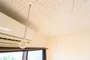 ジョイフル江島 0207号-9