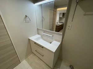 メゾン　ソフィア 0101号-10