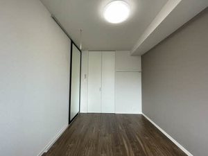 ライム　グリーン 0102号-11