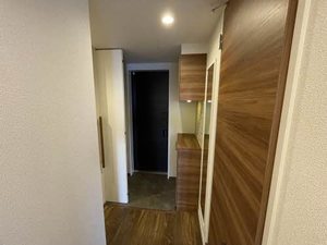 ライム グリーン 0202号-10