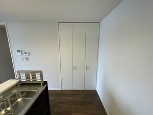 ライム　グリーン 0301号-8