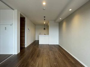 ライム　グリーン 0301号-10