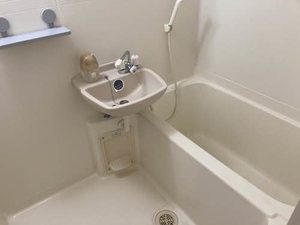 サンライズファミリアⅢ 0207号-10