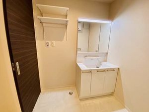 ベルヴィル金山 0303号-12