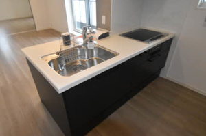 ウェスト　ウェル西念 0201号-4