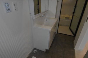 ウェスト　ウェル西念 0203号-8