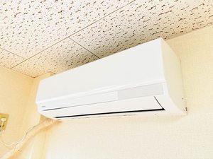 アネックス鈴木Ⅱ 0102号-12