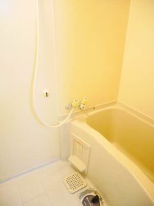 アネックス鈴木Ⅱ 0205号-11