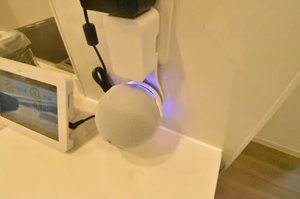 シャーメゾンＹ・Ｋ 0102号-11