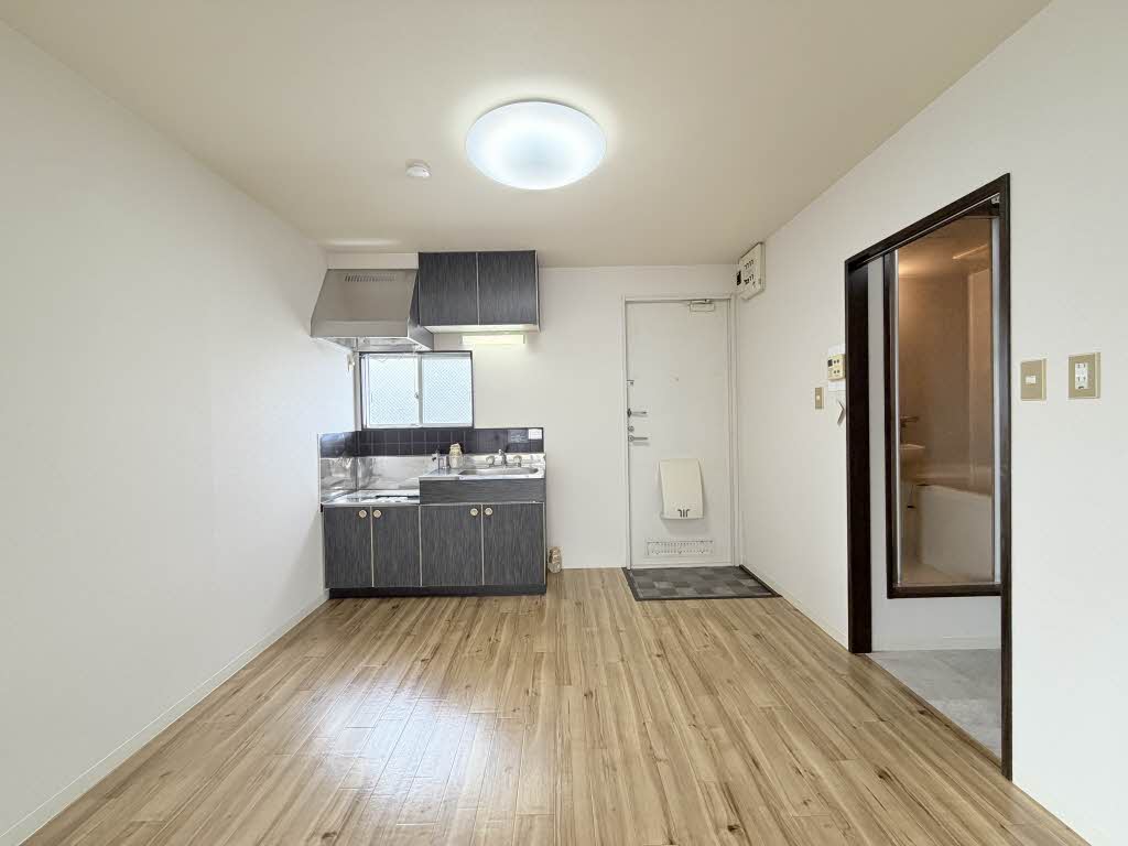 ルモンプルミエール 0203号-8