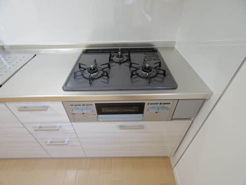 ヴィラ藤里Ⅰ B102号-12