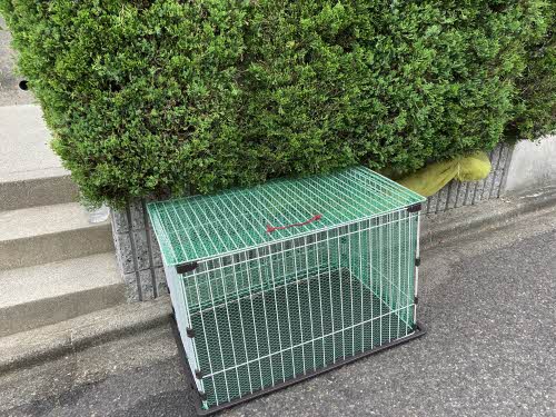 リバティヒルズ 0101号-14