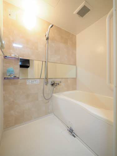 フロンティア神沢 D101号-10