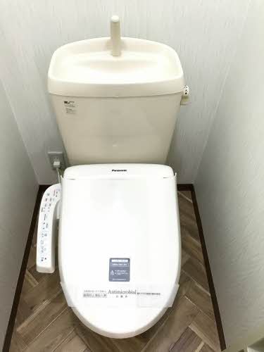 ひまわり B102号-11
