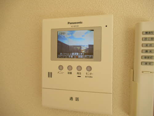 シトロンツリーＹＴ 0201号-12