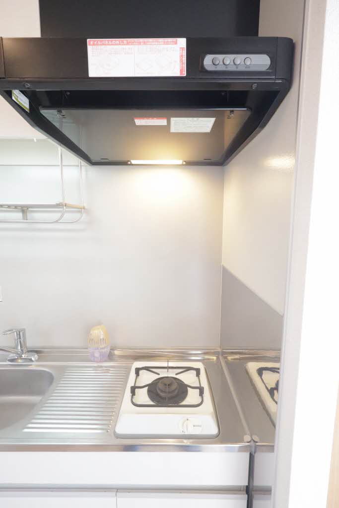 ディアハイビスカス 0101号-7