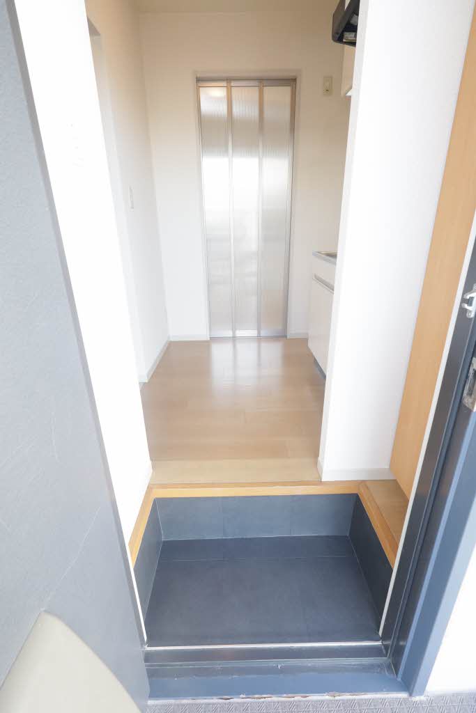 ディアハイビスカス 0101号-11