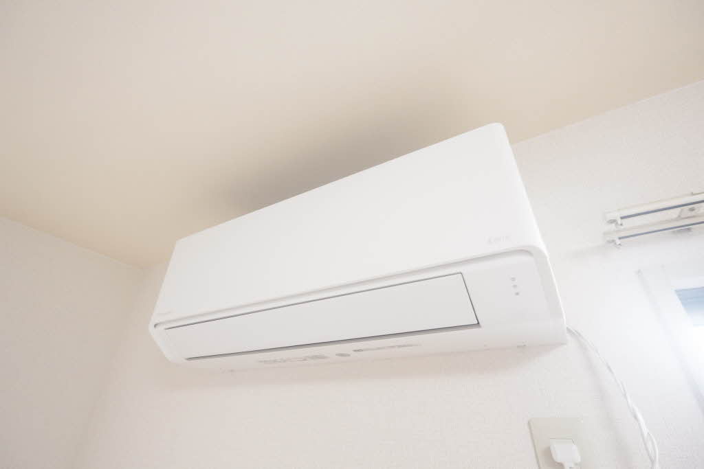 ディアハイビスカス 0101号-13