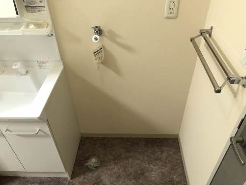 ドエル横関 0202号-9