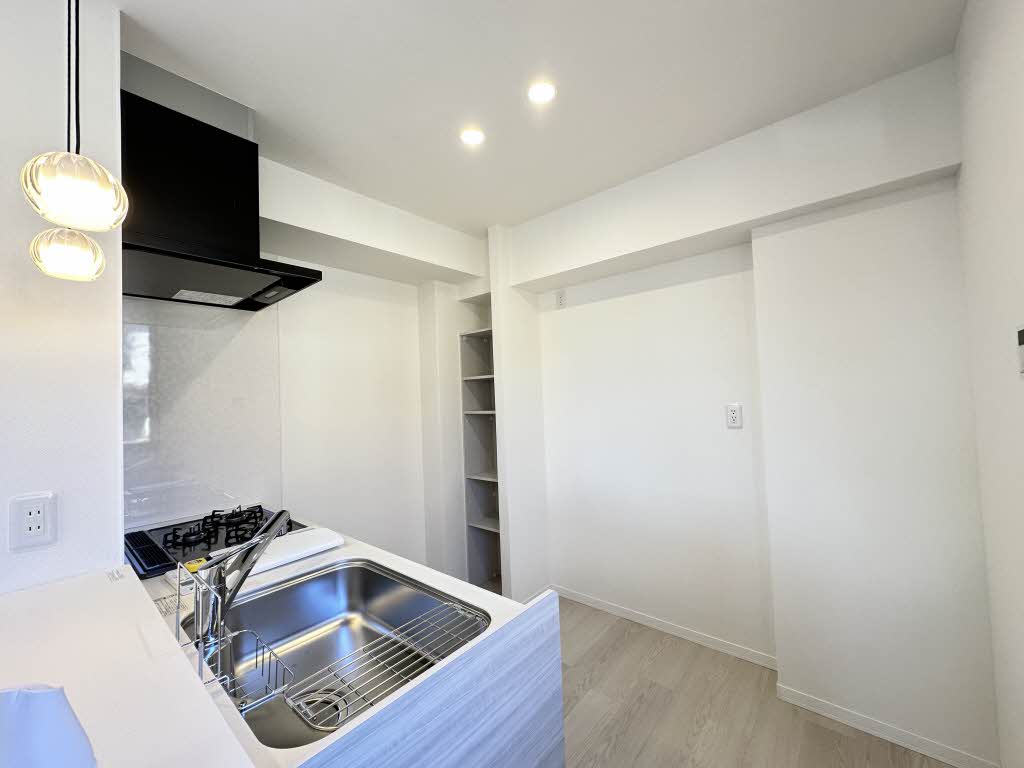 ニューシティハイツⅡ 0102号-5