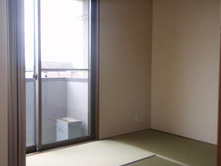 ニューシティハイツⅡ 0202号-6