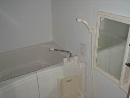 ニューシティハイツⅡ 0202号-10