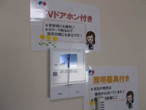 アニーカーサ 0201号-11