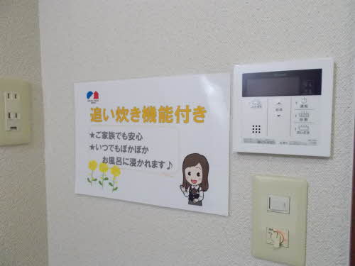 アニーカーサ 0201号-12