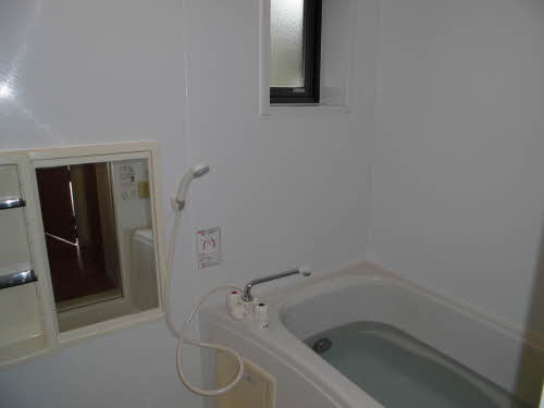 ピースフルＴ 0101号-8