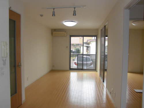 ピースフルＴ 0101号-12